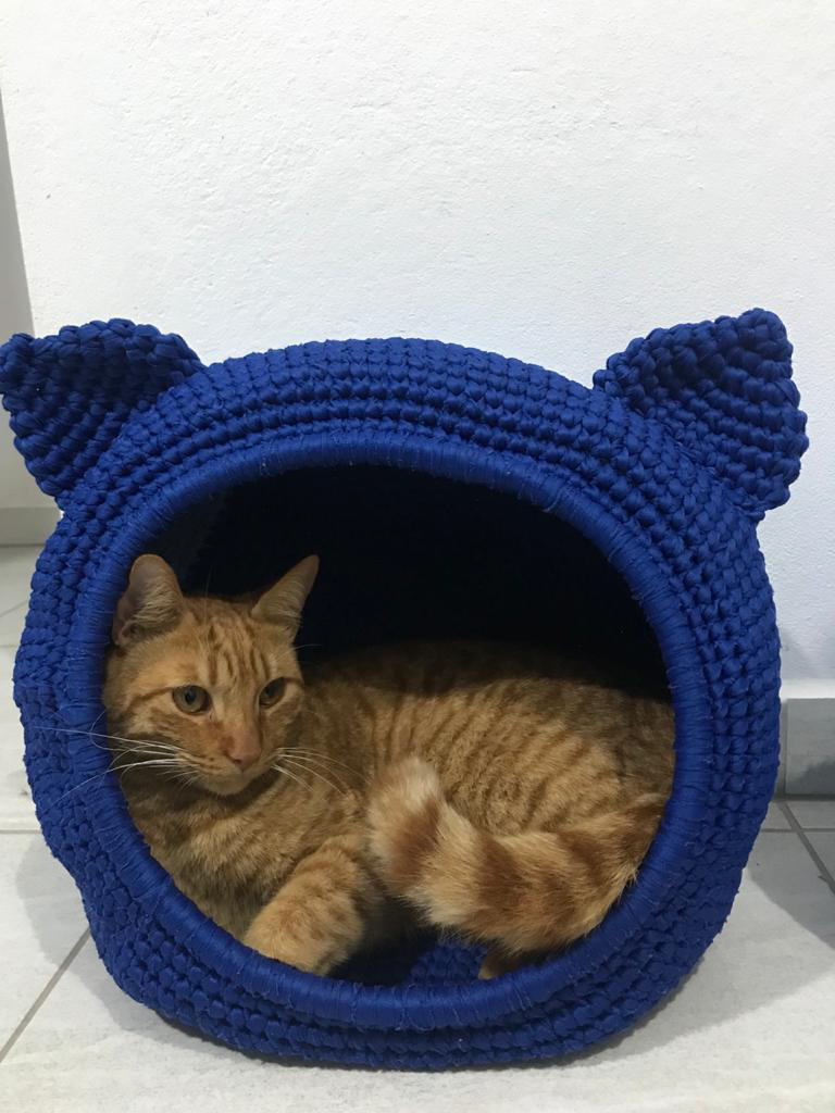 Azul Mini - Toca dos Gatos Jogos